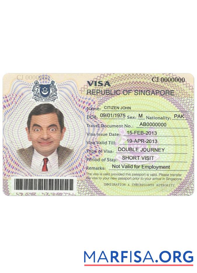 Printable Singapore visa sample